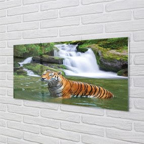 Sklenený obraz tiger vodopád 120x60 cm