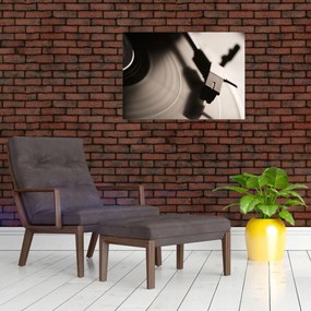 Obraz - Gramofónová doska (70x50 cm)
