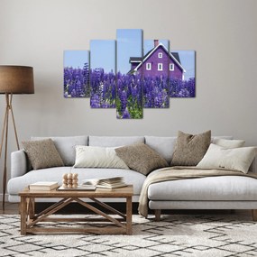 Obraz levanduľového poľa (150x105 cm)