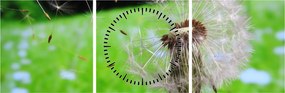 Obraz púpavy (s hodinami) (90x30 cm)