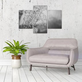 Obraz - Lúka po daždi (90x60 cm)