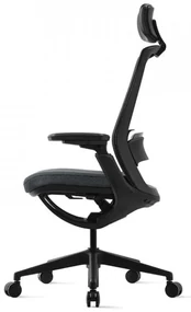 Kancelárska ergonomická stolička ROLY — sieť, látka, čierna / viac farieb Antracit