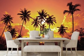 Samolepiaca tapeta kokosové palmy na pláži - 150x100