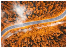 Obraz - Horská cesta (70x50 cm)