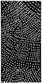 Koberce Breno Kusový koberec INK 463 007/AF900, čierna,160 x 230 cm