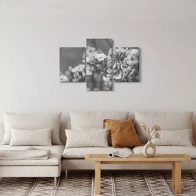 Obraz - Sušené kvety (90x60 cm)