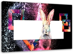 Obraz na plátně Zvířata králíků - 100x70 cm