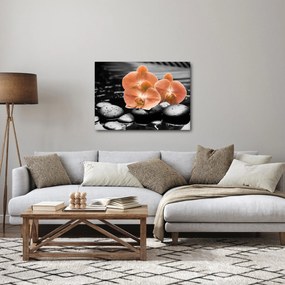 Obraz - Oranžové orchidey (70x50 cm)