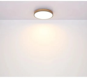 Globo 416080WD4R-CCT - LED Stmiev. stropné svietidlo DORO LED/40W/230V 2700-6500K + DO