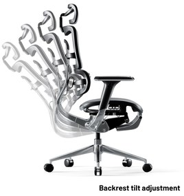Kancelárska ergonomická stolička Diablo V-Master, čierno-šedá