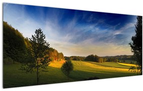 Obraz - Horská lúka (120x50 cm)