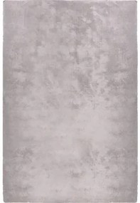 Dekoratívny koberec Shaggy Wellness 200 x 300 cm strieborný
