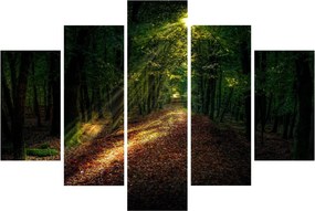 Obraz lesnej cesty (150x105 cm)