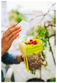 Zelená škatuľka na svačinu a obed s príborom, Vialli Design, 650ml+230m