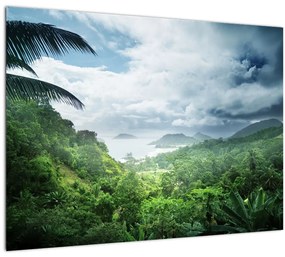 Sklenený obraz - Seychelská jungle (70x50 cm)