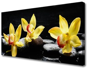 Obraz Canvas Kvet kamene rastlina 120x60 cm