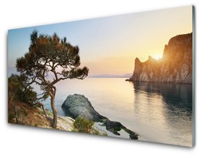 Skleneny obraz Jazero strom príroda 125x50 cm