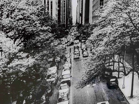 Street Of NY sklenený obraz čiernobiely 120x80 cm