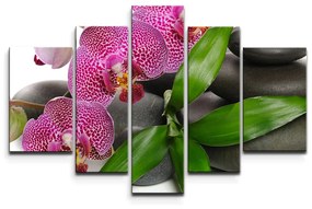 Sablio Obraz - 5-dílný Orchidey a kamene - 125x90 cm