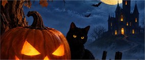 Obraz - Čierna mačka pri svietiacej tekvici na Halloween (120x50 cm)