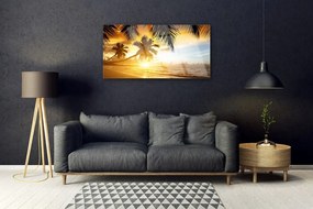 Skleneny obraz Pláž palma more krajina 100x50 cm