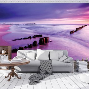 Fototapeta - Pobrežie - fialové (254x184 cm)