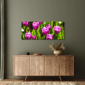 Obraz tulipánov na lúke (120x50 cm)