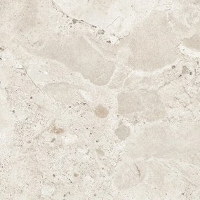 Dlažba Fragmenta Plus White 60x60 R