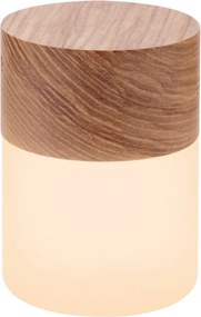 Stmievateľná stolová lampa v prírodnej farbe so skleneným tienidlom (výška 10,5 cm) Lemelia - Gingko