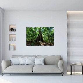 Obraz - Korene stromu (90x60 cm)