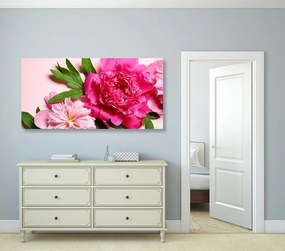 Obraz pivonky v ružovej farbe Varianta: 100x50