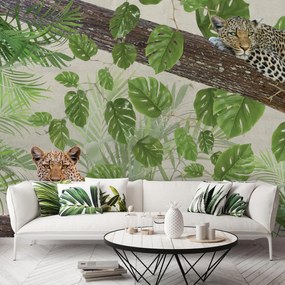 Fototapeta - Odpočívajúci leopardy (147x102 cm)