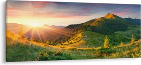 Obraz - Letná krajina (120x50 cm)