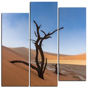 Obraz na plátne - Mŕtvy strom v dunach - štvorec 3130C (105x105 cm)