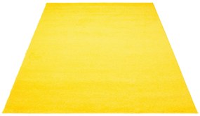 Dizajnový koberec AMARILLO - SHAGGY ROZMERY: 80x200