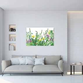 Obraz - Maľované lúčne kvety (90x60 cm)