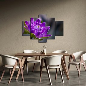 Obraz kvetu (150x105 cm)
