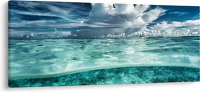 Obraz - Pohľad pod morskú hladinu (120x50 cm)