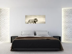 Obraz - Hladný lev (120x50 cm)