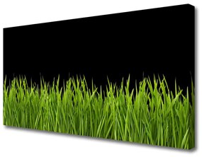 Obraz Canvas Zelená tráva príroda 120x60 cm
