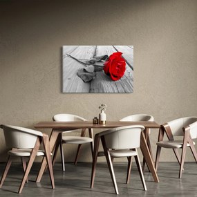 Obraz červených ruží (90x60 cm)