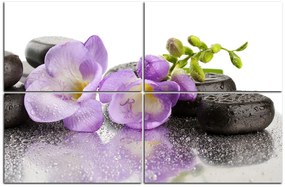 Obraz na plátne - Lávové kamene a fialové kvety 163D (150x100 cm)