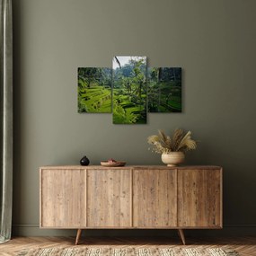 Obraz ryžových terás Tegalalang, Bali (90x60 cm)