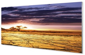 Nástenný panel  Mraky strom neba 100x50 cm