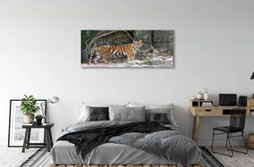Obraz na akrylátovom skle Tiger džungle 120x60 cm