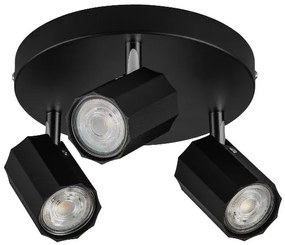 Livarno home Stropné svietidlo (stropné bodové svietidlo, matná čierna)  (100393031)
