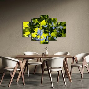 Obraz - javorové listy (150x105 cm)