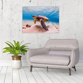 Sklenený obraz korytnačky v oceáne (70x50 cm)