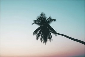 Obraz - Palma na Bali (90x60 cm)