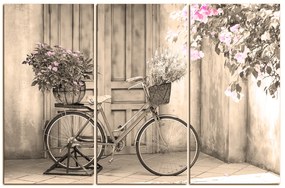 Obraz na plátne - Pristavený bicykel s kvetmi 174FB (120x80 cm)
